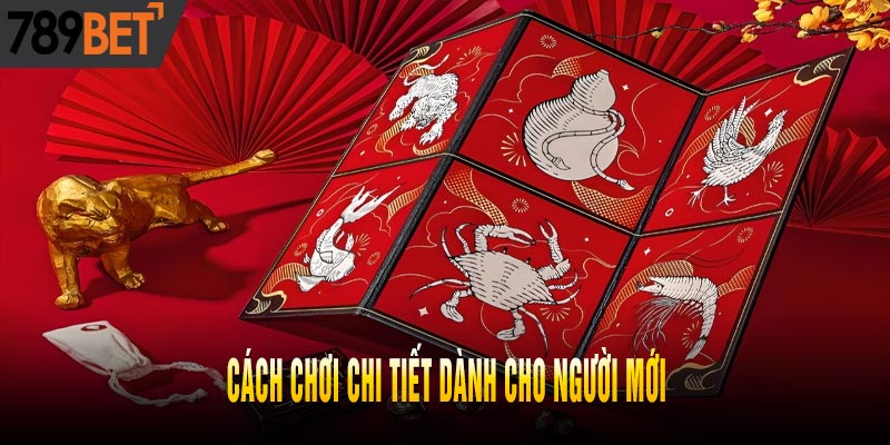 Cách chơi chi tiết dành cho người mới 
