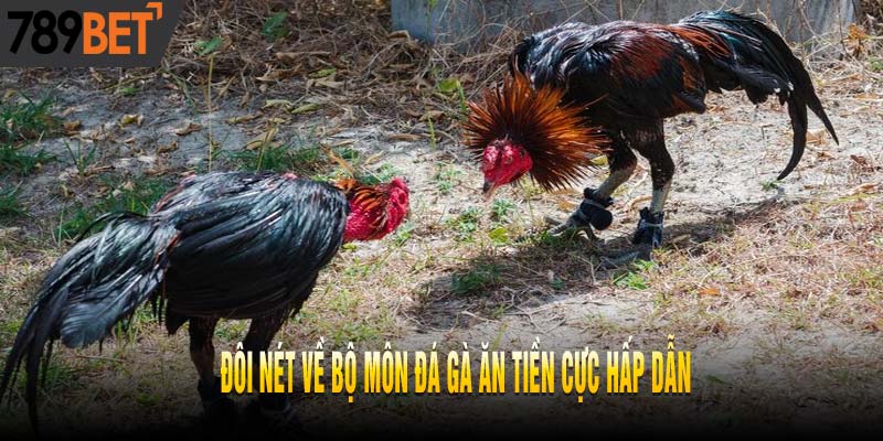 Cẩm Nang Chơi Đá Gà Ăn Tiền Chỉ Thắng Không Thua