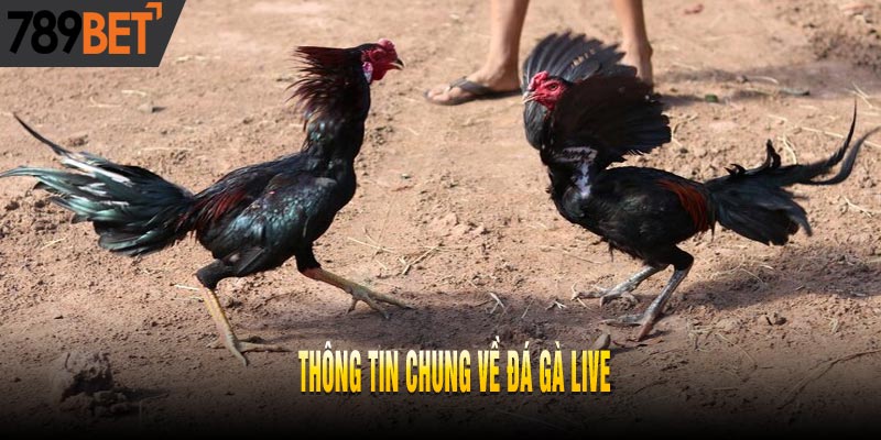 Lý Giải Tại Sao Đá Gà Live Là Trò Chơi Ăn Tiền Nhất